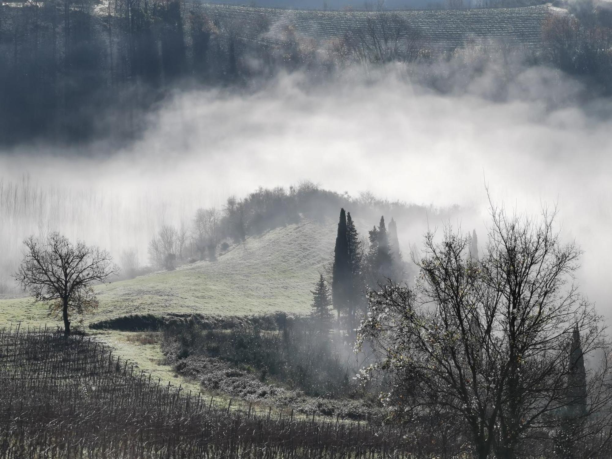 Agriturismo Bio Fattoria Bacio Чертальдо Екстер'єр фото