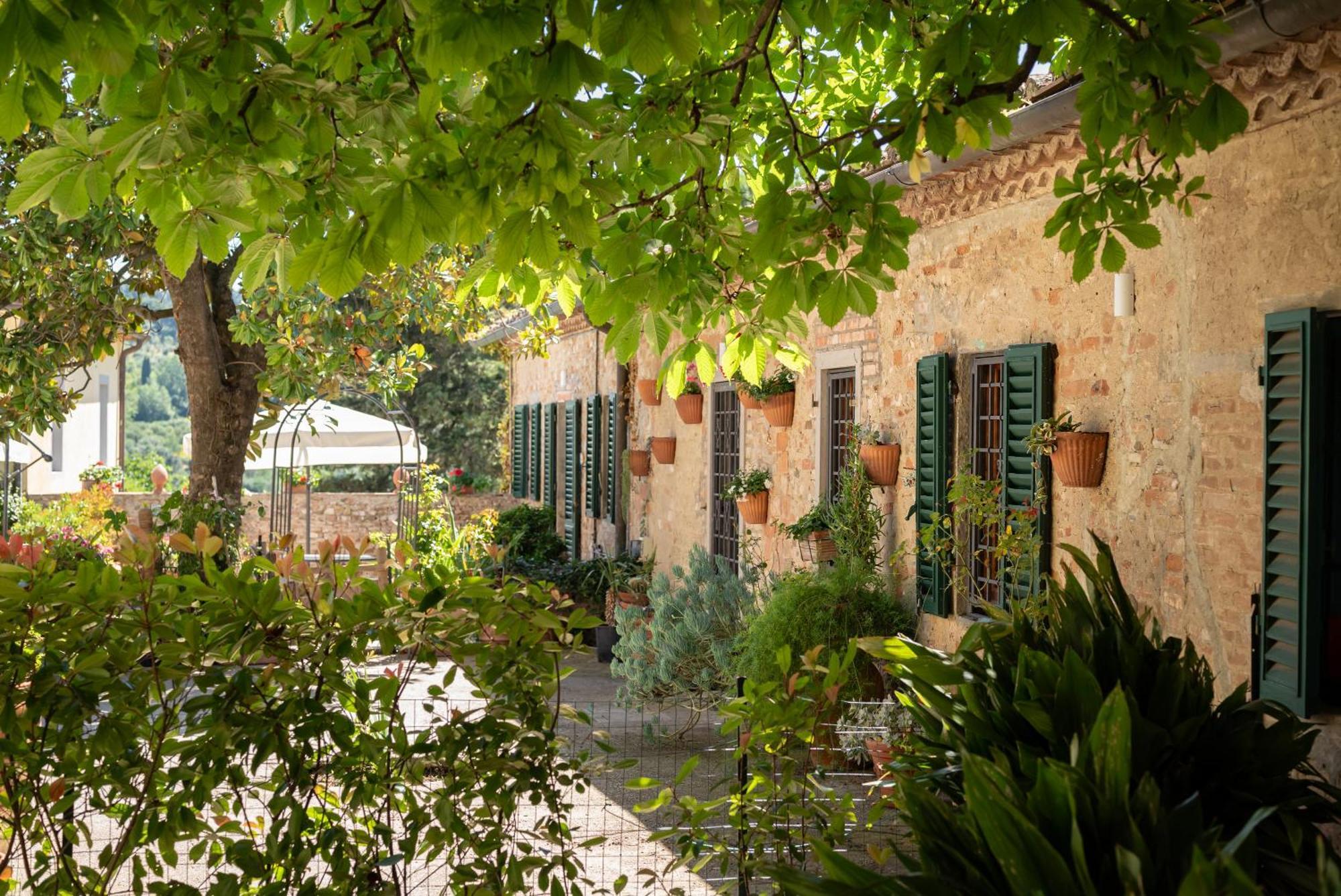 Agriturismo Bio Fattoria Bacio Чертальдо Екстер'єр фото