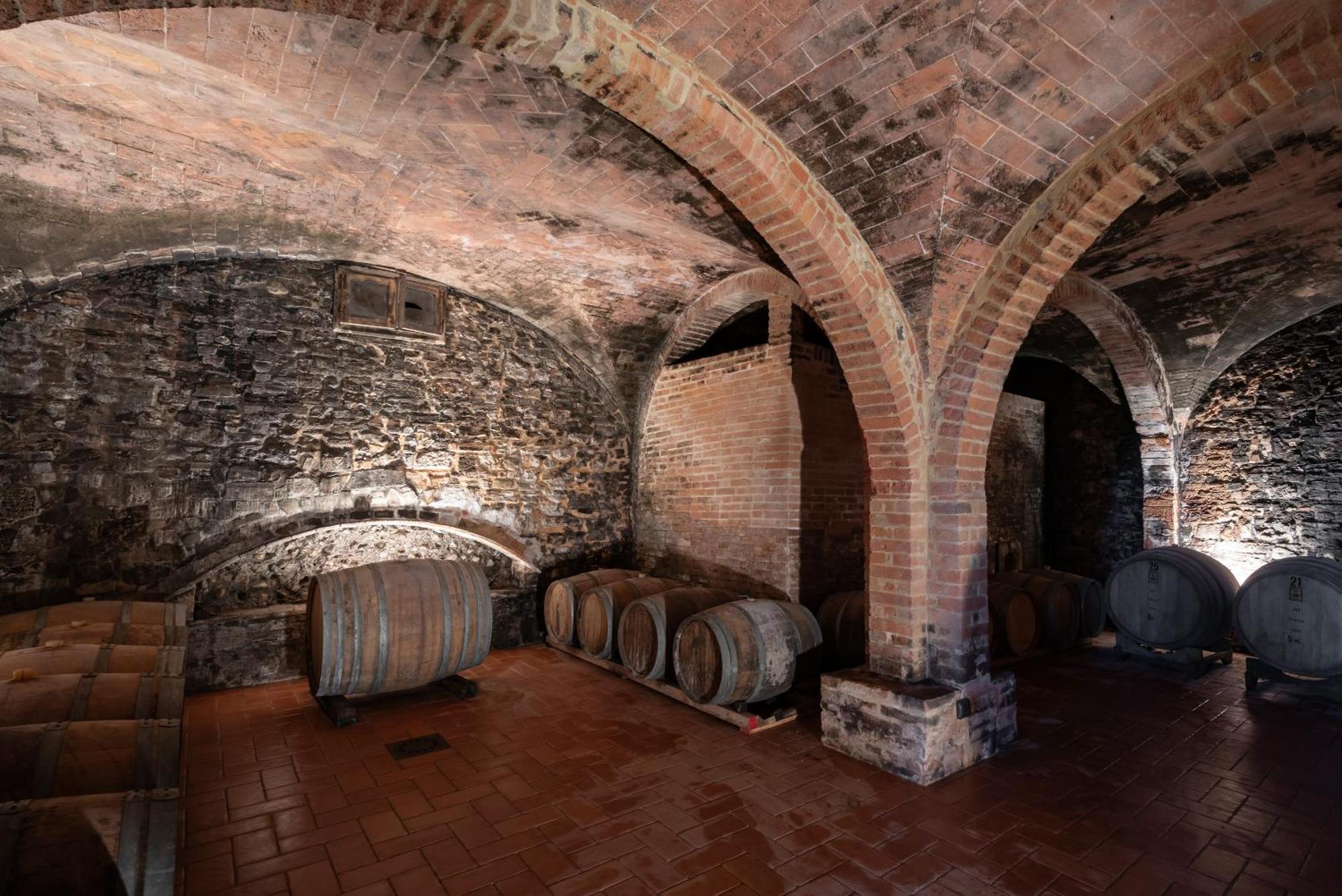Agriturismo Bio Fattoria Bacio Чертальдо Екстер'єр фото